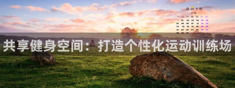 德国熊猫体育集团：共享健身空间：打造个性化运动训练场