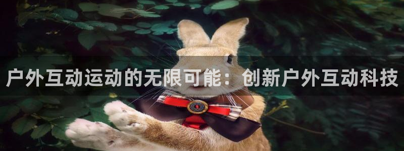 熊猫体育官网下载注册：户外互动运动的无限可能：创新户