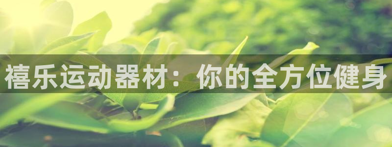 熊猫集团官网：禧乐运动器材：你的全方位健身