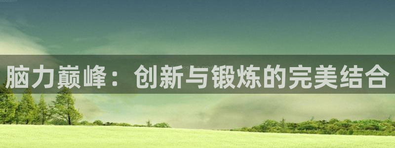 熊猫体育官网下载是干嘛的公司