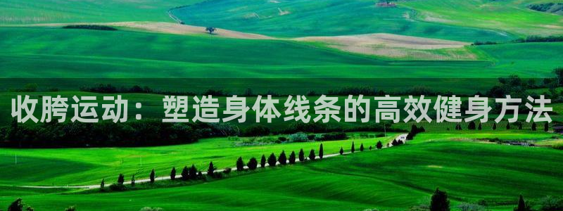 熊猫体育官网下载招商电话是多少啊