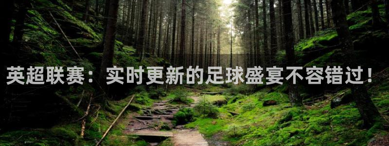 绿茵直播在线观看：英超联赛：实时更新的足球盛宴不容错过！