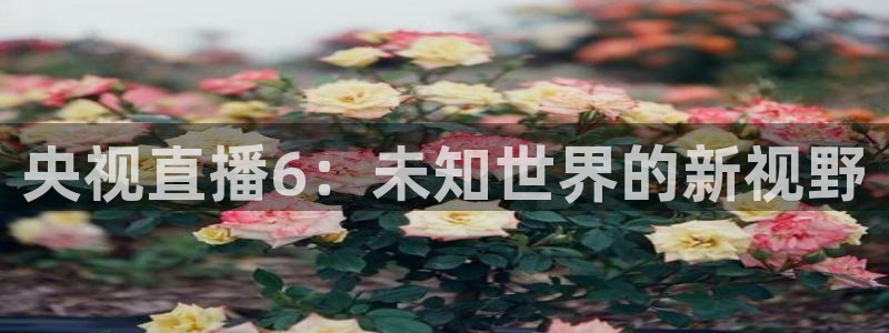 绿茵直播官网：央视直播6：未知世界的新视野