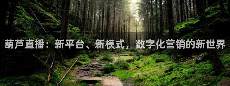 绿茵足球直播免费观看直播：葫芦直播：新平台、新模式，数字化营销的新世界