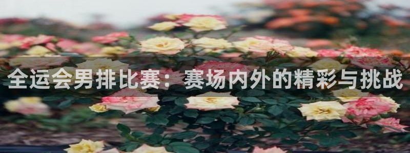 绿茵直播nba免费：全运会男排比赛：赛场内外的精彩与挑战
