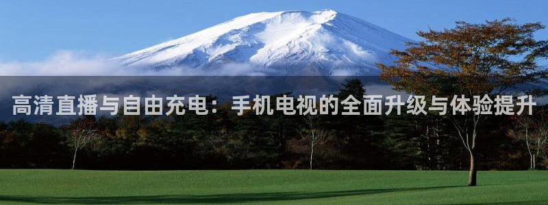 绿茵直播nba免费：高清直播与自由充电：手机电视的全面升级与体验提升