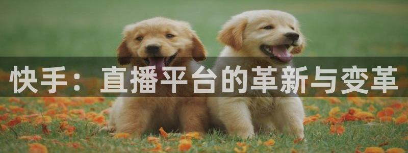 绿茵直播体育在线观看免费：快手：直播平台的革新与变革