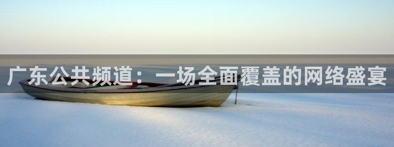 绿茵足球：广东公共频道：一场全面覆盖的网络盛宴