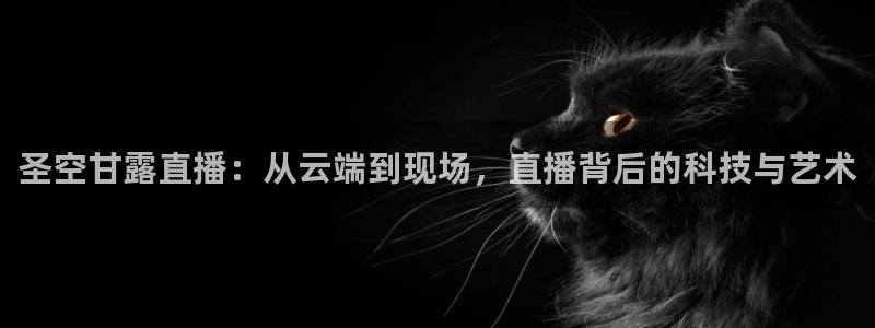 绿茵足球直播免费观看直播：圣空甘露直播：从云端到现场，直播背后的科技与艺术