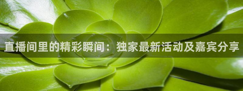 绿茵直播体育免费直播：直播间里的精彩瞬间：独家最新活动及嘉宾分享