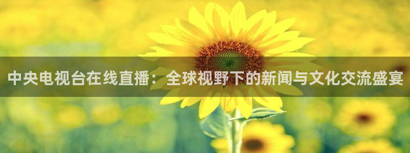 nba直播绿茵：中央电视台在线直播：全球视野下的新闻与文化交流盛宴