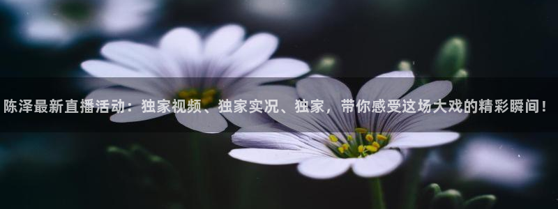 绿茵直播nba：陈泽最新直播活动：独家视频、独家实况、独家，带你感受这场大戏的精彩瞬间！